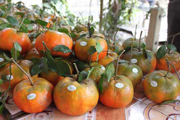 Cam Bu1 533608025 1367717075 500x0 2