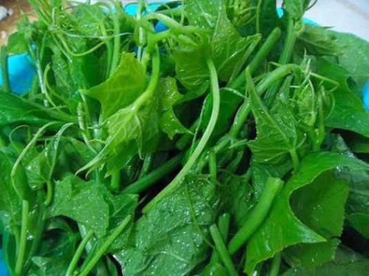 Ngọn Su Su Luộc 4