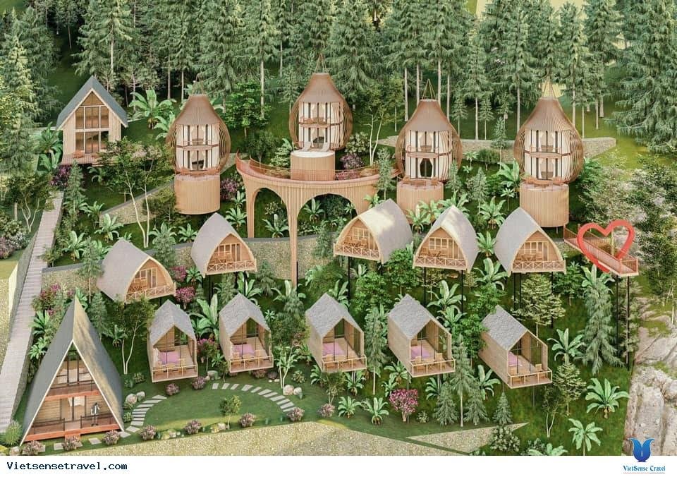 poko ecolodge tam dao khu nghi duong ly tuong 5337 5 Poko Ecolodge Tam Đảo - khu nghỉ dưỡng lý tưởng